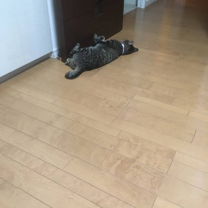 2780ef81 9c76 4969 ba62 c1a1df304ac8 1592617012487