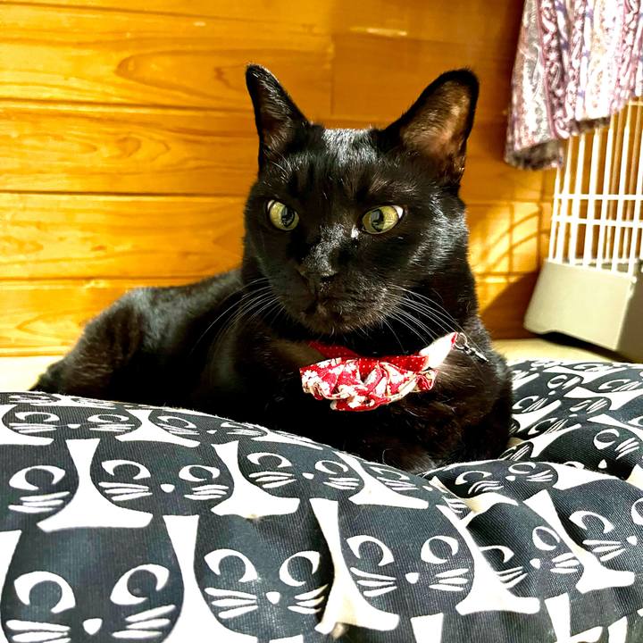 2781915c 592d 4bb0 8375 8cdd22df0326 1699962447735