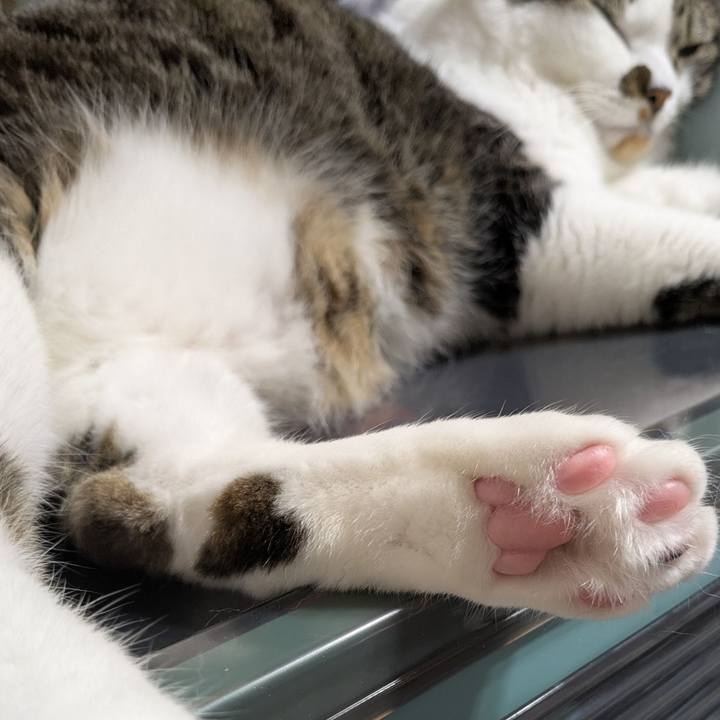 2781961a 61e4 47ea aa5d a3e24f4a63a4 1747884533219