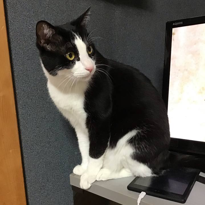 2781996f f568 4391 9f31 514095cb6820 1684498665844