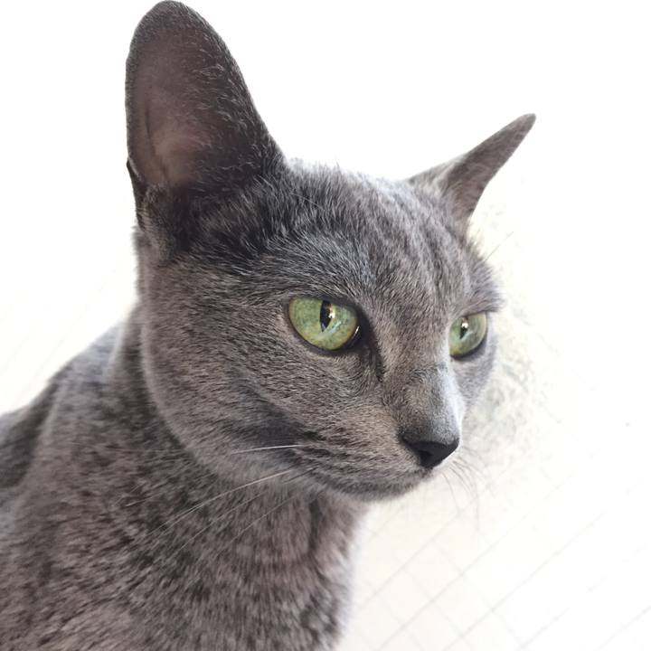 2781cf08 68a8 4f69 94f2 4b2290f494a7 1549191560760