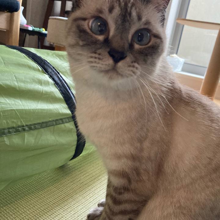 2781d37e 929a 4104 9492 5aae9c020bdb 1626075196696