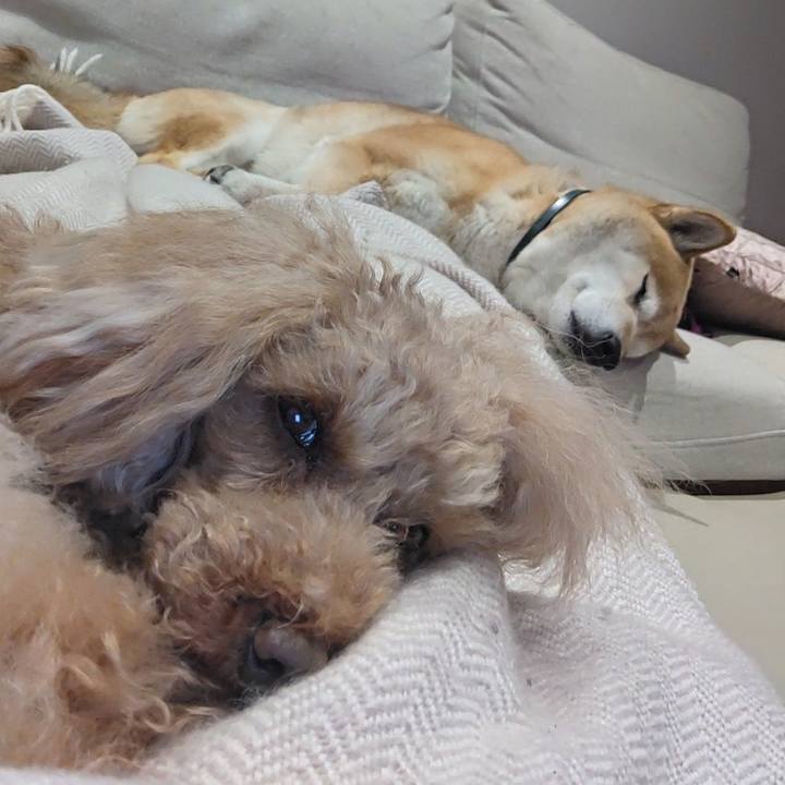 2781e0c9 db15 42a3 b698 4b65808be9a9 1610453115096