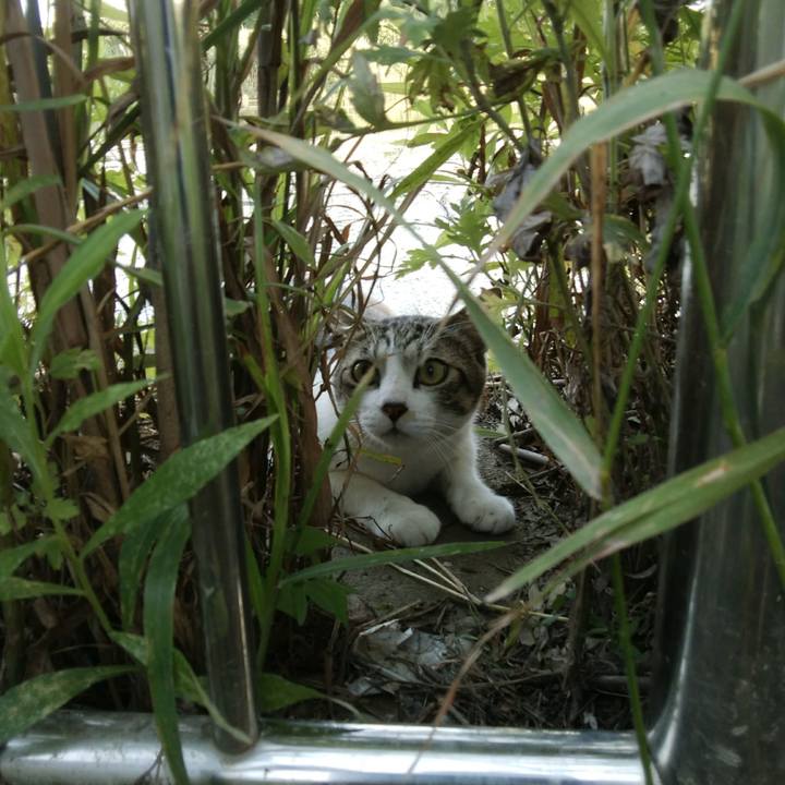 2781fd68 67a9 439b a384 225009d313da 1530448906205