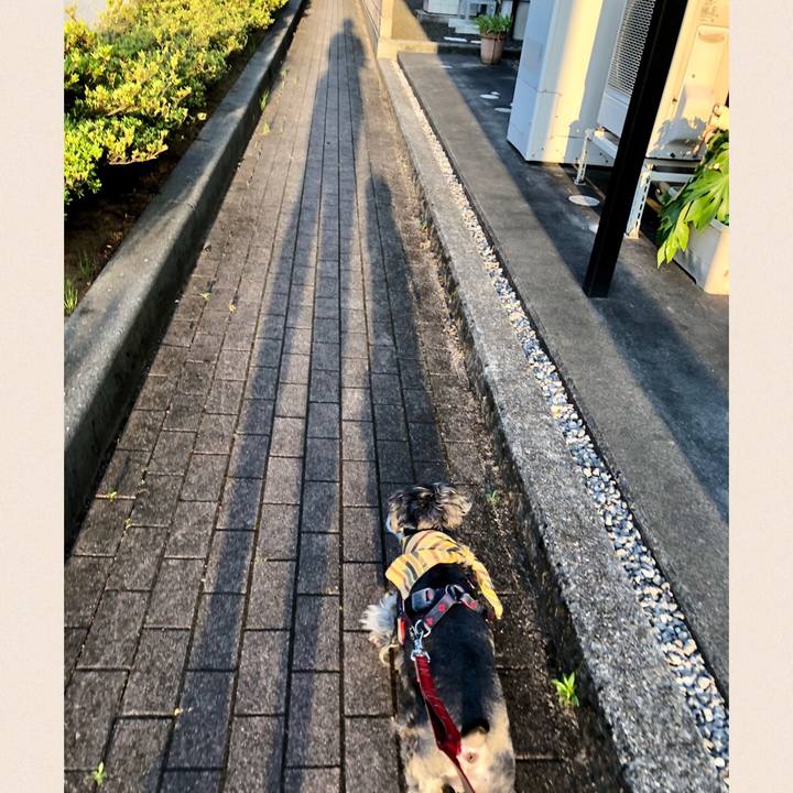 2782389e 0bba 4dd9 87fa 04aac9af0ae4 1656253233993