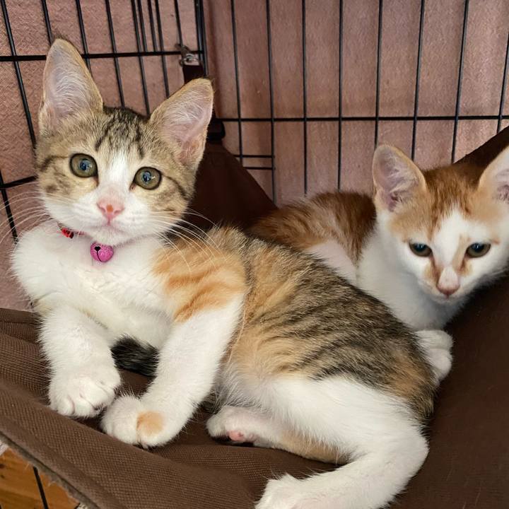 278246ba 26f3 4aea 8106 2f4bb9d2e29e 1751677575574