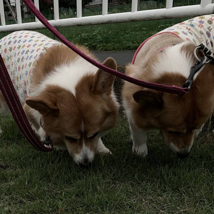 27826230 aa24 4a9a acf1 5ddd55294c5c 1562151104739