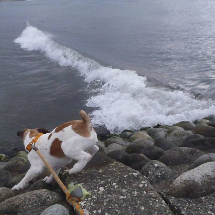 27826539 502b 4539 a2a0 bcf91f35865a 1525862462102