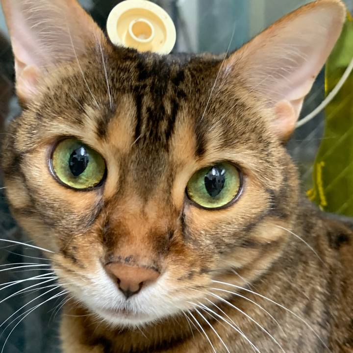 27827e42 e09e 4b26 a296 8a0ae24fe834 1623620231099