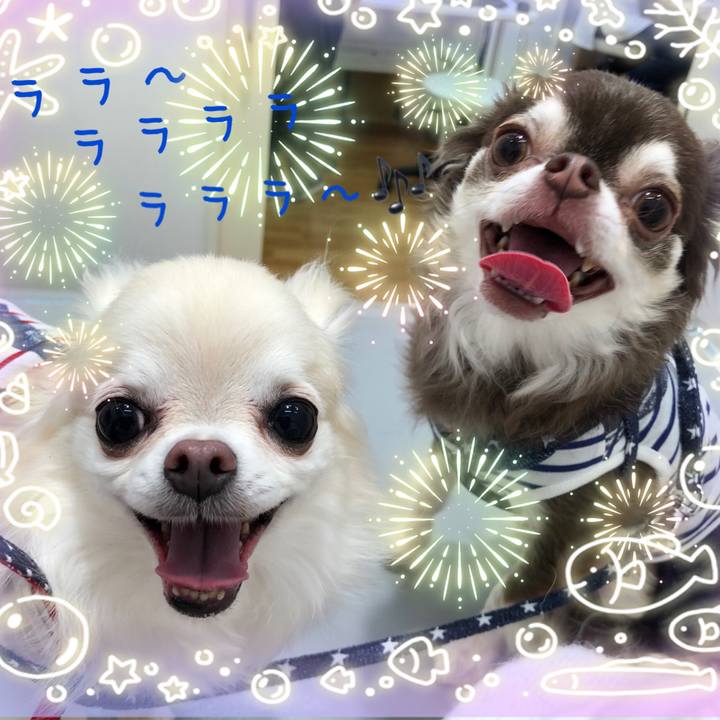 2782c91f 5957 4058 baee 0b32ceab30be 1562450244612