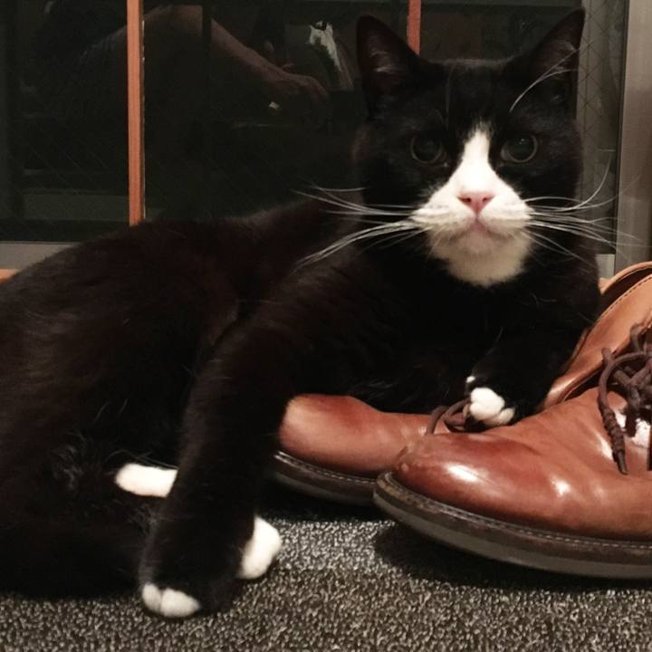 2782cea0 0449 4c36 94f1 f8d63b994803 1528285863993