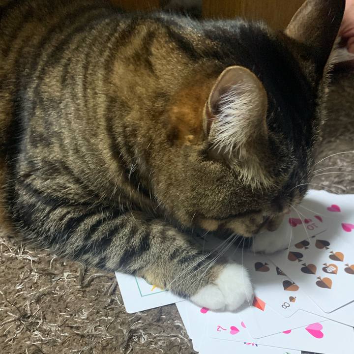 2782d04e e884 4a62 b1b9 a58cf05fb58c 1672672900401