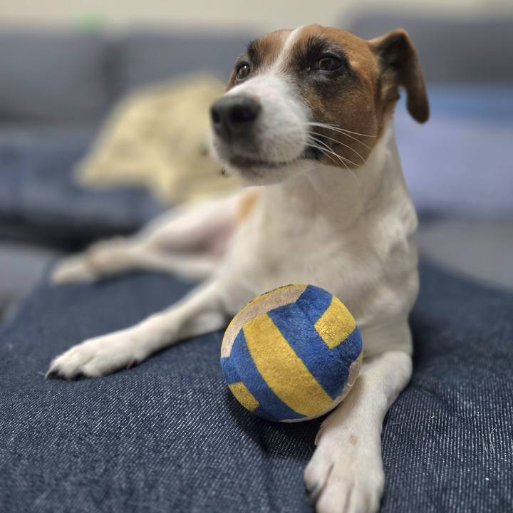 2782f4fc da7d 47d1 9bd3 249066b9d303 1764763997755