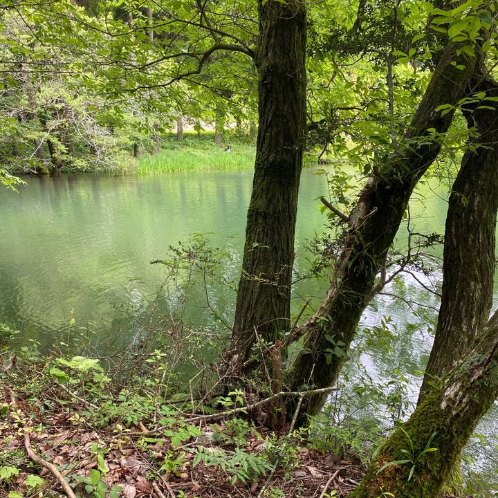 27830180 9459 4508 8e3d 3bfd0df65190 1654495513715