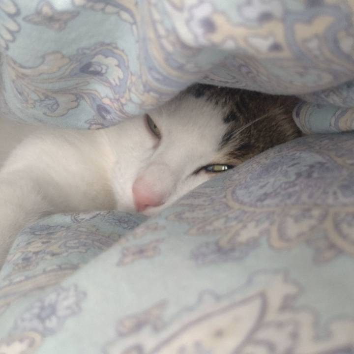 2783384f 9d08 4605 bcd4 dcec4d201560 1710644364988