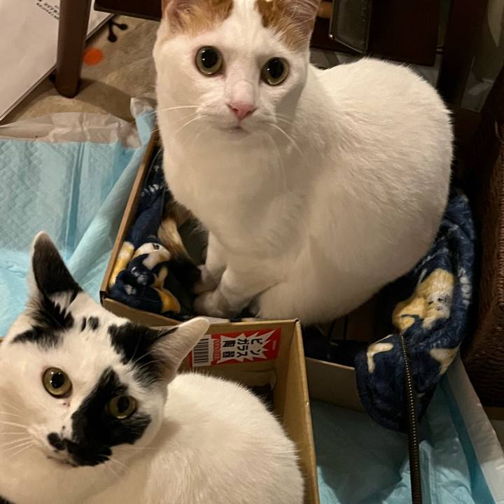 27833974 3975 4cc1 9f93 8d612838f4d2 1767622386778