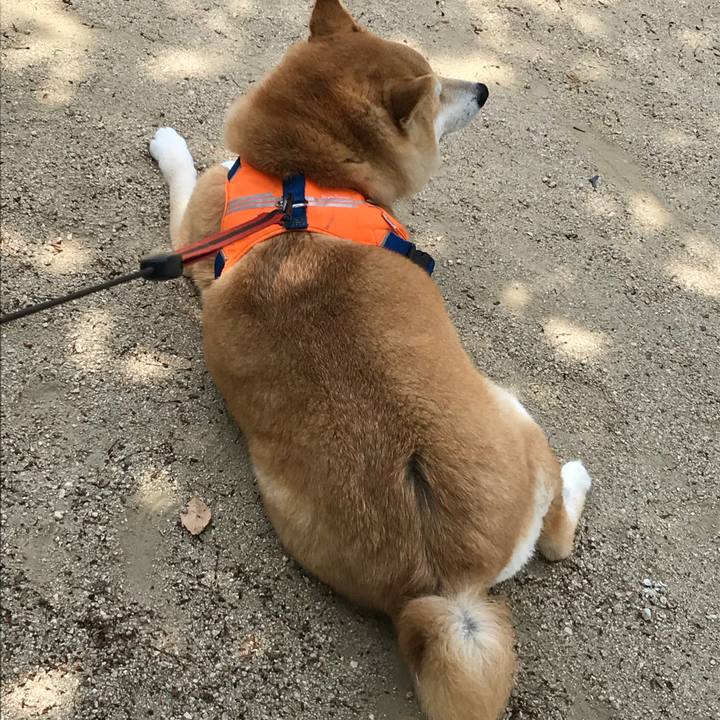 27833b29 c1af 4fe7 8b19 da2b47ebf371 1525142772742