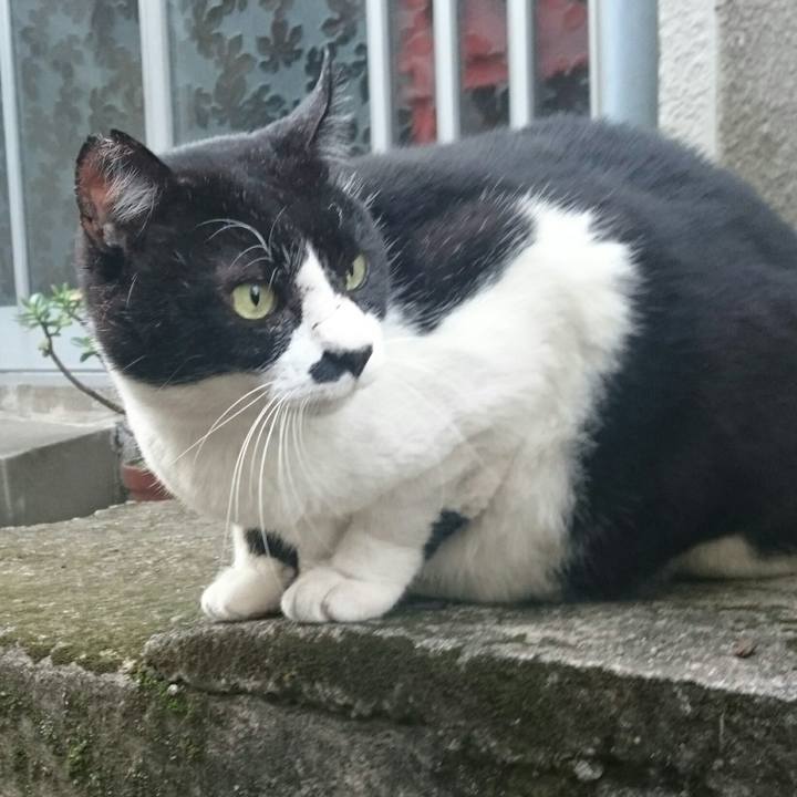 27835a32 2456 432e 99d4 a61d7050e032 1512691012183