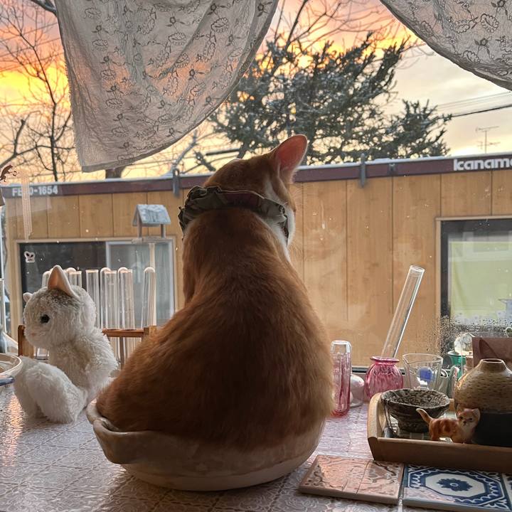 2783762c 9aa6 4fa0 b365 5c79a097d5bc 1670450250576