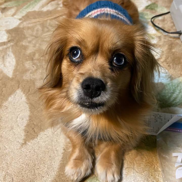 278391a0 5505 4538 8167 07ab499277b9 1608675199315