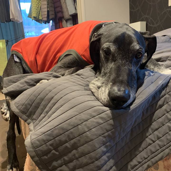 2783942b 6408 4245 9bb3 7e8a0045c5b9 1611008327195