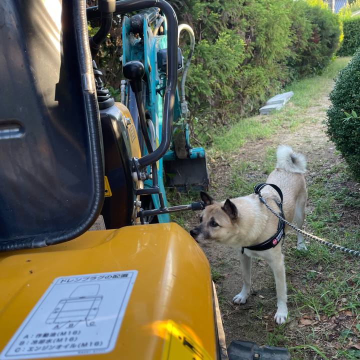 27839add c838 418b a38f 645f0fb8281e 1724673075857