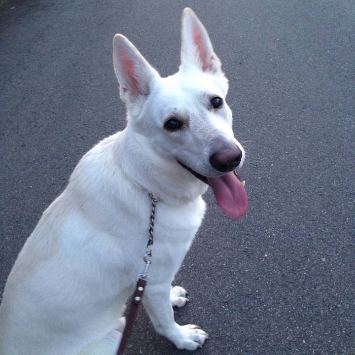 2783b751 67b9 46bf ba6f 4f625613879d 1564749045367