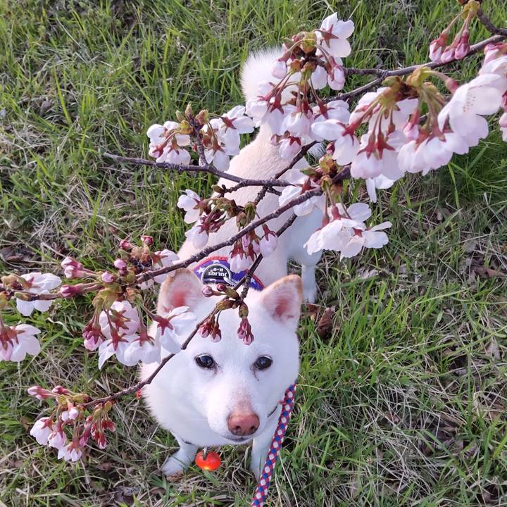 2783d580 be29 4550 be89 c55a325ae45a 1649497507920