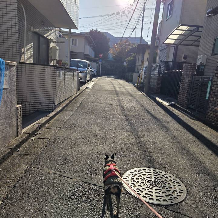 27845344 6cc9 4479 b61e 305dfd1a7247 1763336463164