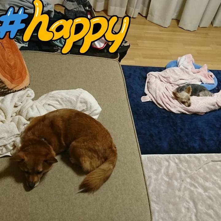 27845864 f43d 4556 b0b9 6551b18b4551 1537793082680