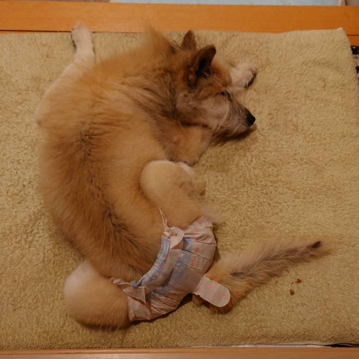 27845a25 1835 46e4 8f1e 7ebb7d62eb5c 1636974133604