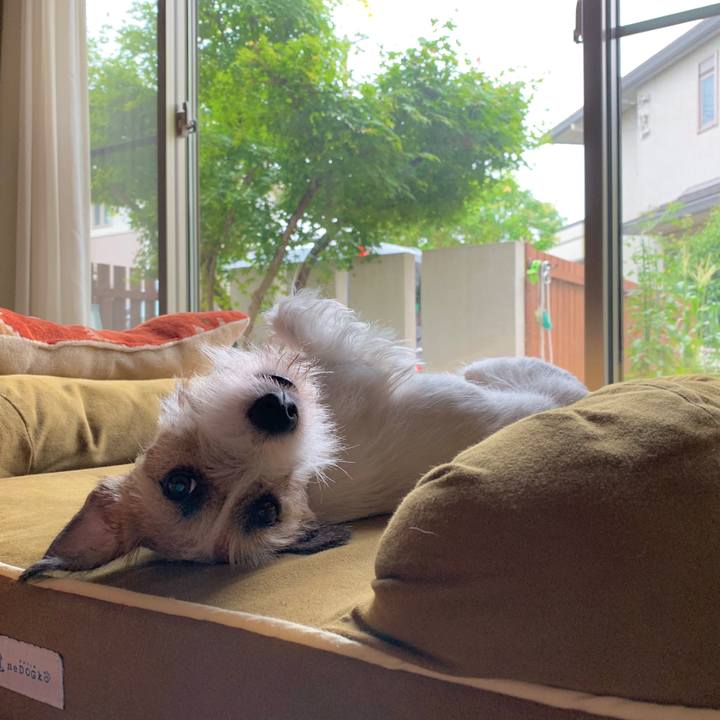 27848272 43a7 48f3 bad8 6cb65bcb2c12 1594971895665