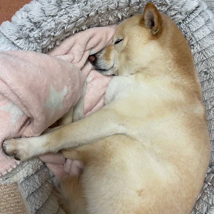 2784c16e df0d 4e9f a347 fba83e701c56 1676556839282