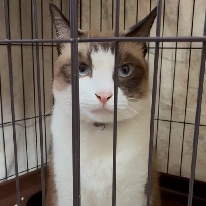 2784d80c 5c1a 4a1f b400 0fa78983424b 1760742239936