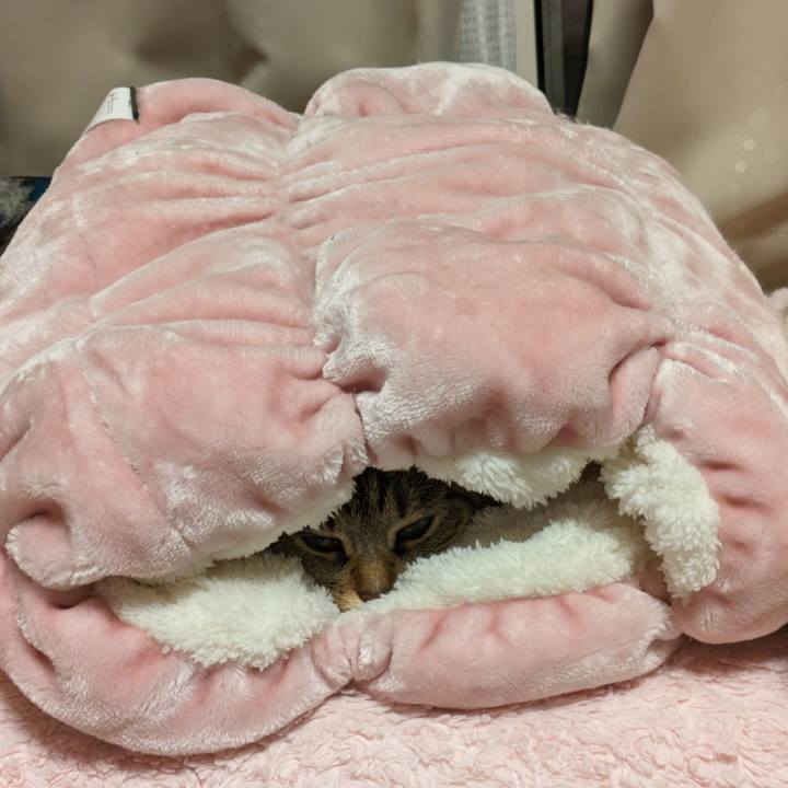 2784d995 4087 40ce 9a40 6624c95c0356 1702211906088