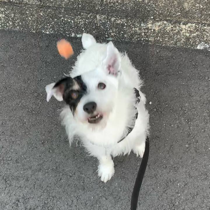 2784dbbc a6ee 4657 a445 c4e6d21037cc 1721430084934