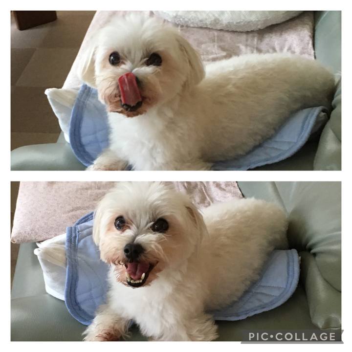 2784faf2 b171 44a5 a1f5 da0e1010dd3c 1626411144191