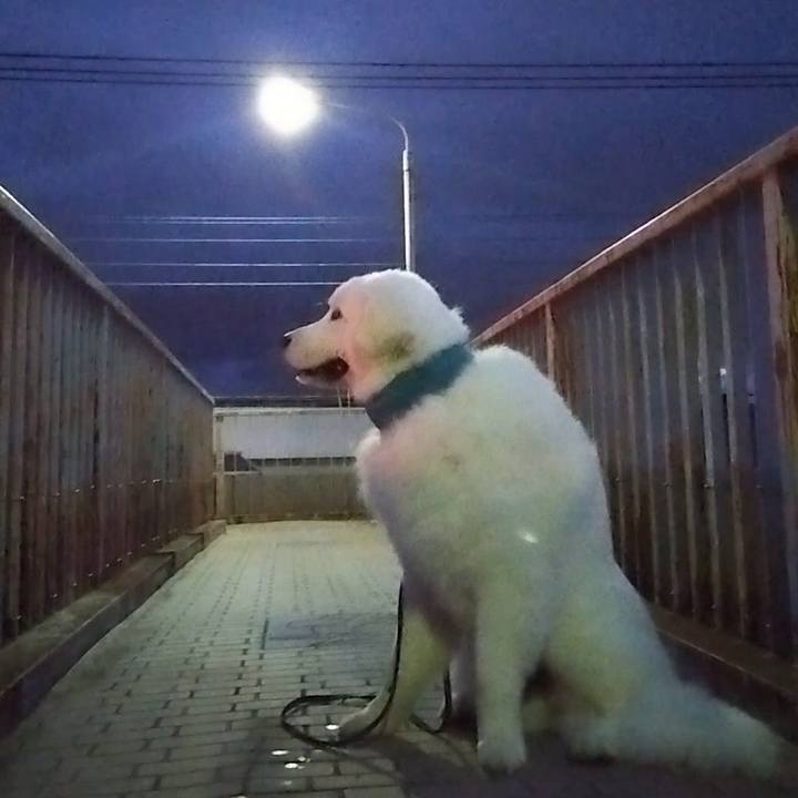 278500ba 01bb 4196 8e18 68f04b61b3e4 1691533422056