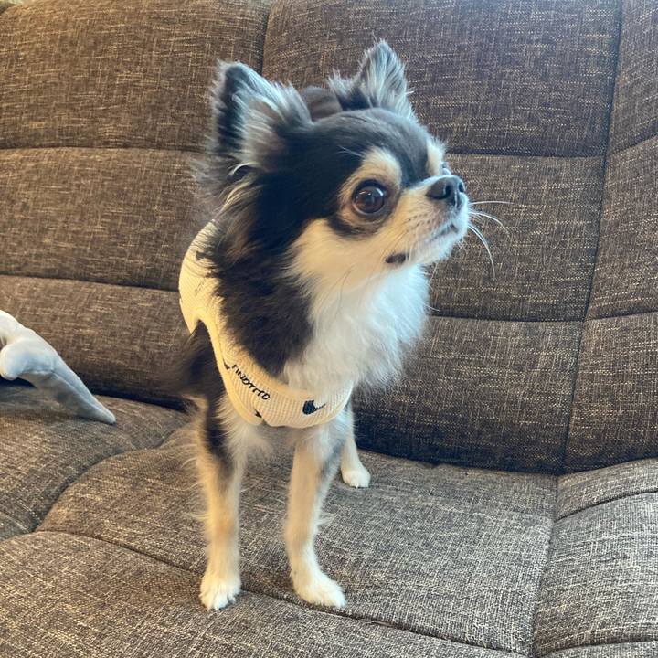 278504de d69c 457f 926b 4742e270b342 1717343386055