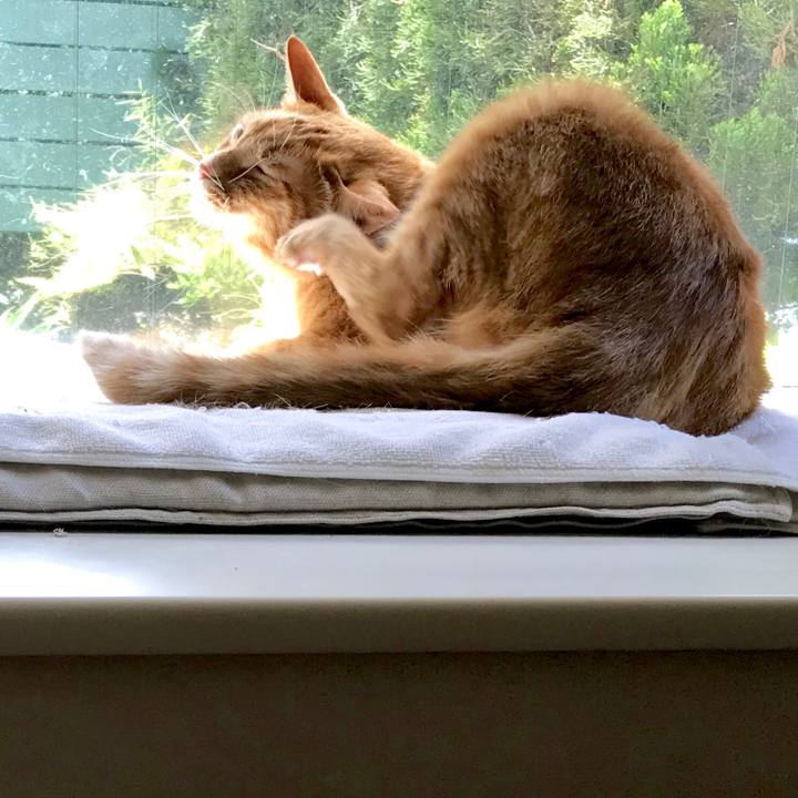 27851403 2128 4875 84a7 8e6261639413 1533086085021