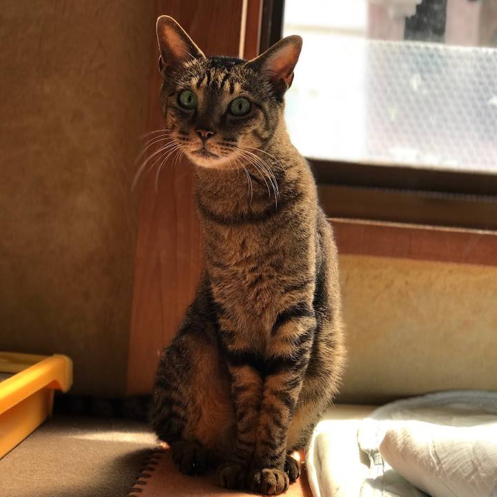 27851ea3 ec09 4e7b 88e3 b5b4773c90ab 1527470899480