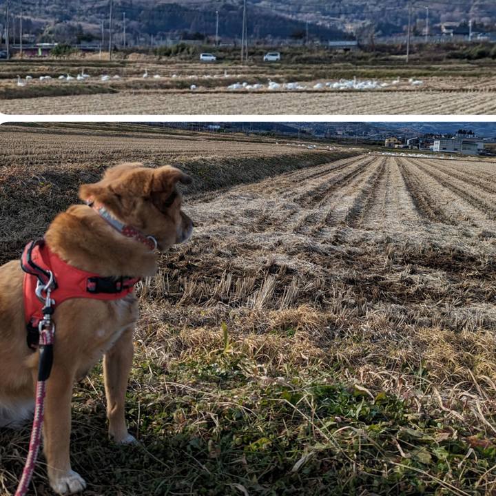 27854c0a 33f3 4dd5 bd63 1bf5c8937fa8 1673083877289