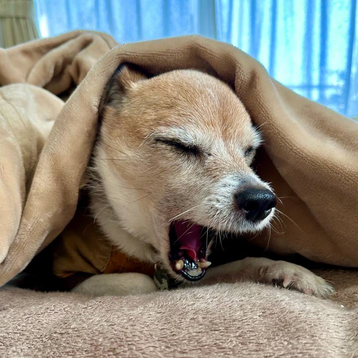 27855b2c 2af3 40a9 9611 ad815068ecec 1676612144463