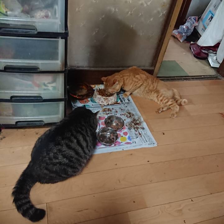 278588fc 4daa 4dc8 9d63 1a3c576257c1 1660173288054