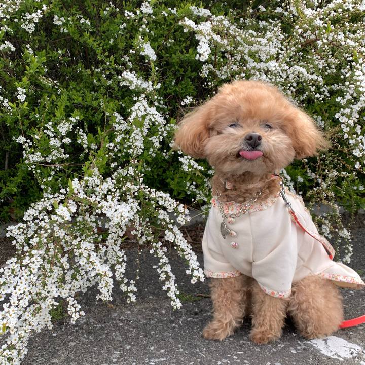 2785a5e7 751c 4c18 a950 f9dc1a2ea648 1773832592225