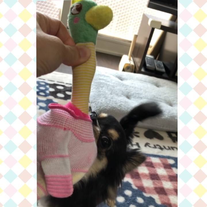 2785b277 cf5c 4794 9090 1acbad54bfff 1589414640154