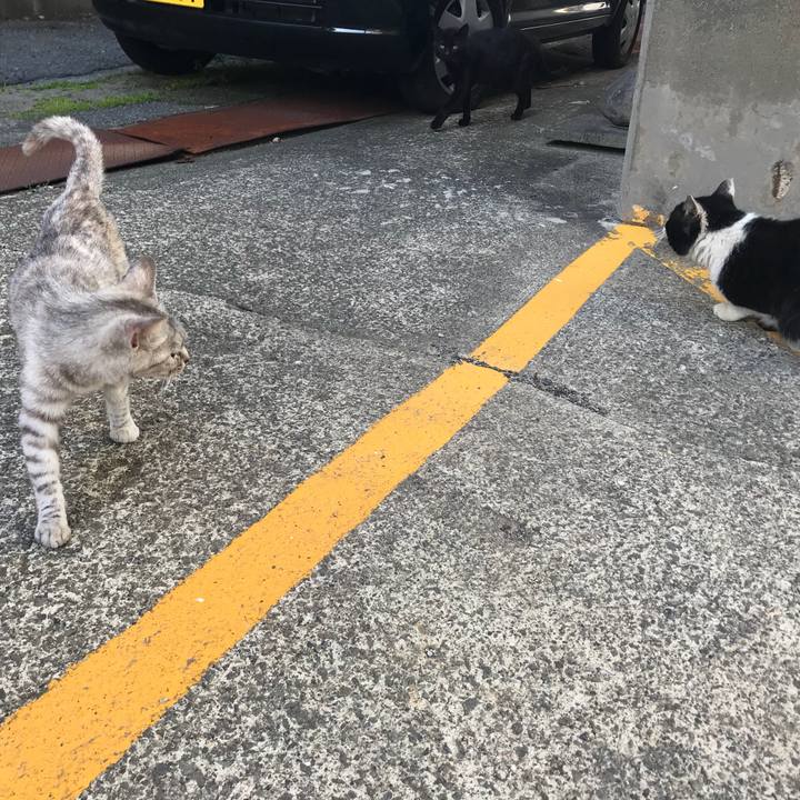 2785c08c b2e6 4cad b434 e4adff4d0e7e 1526135056393