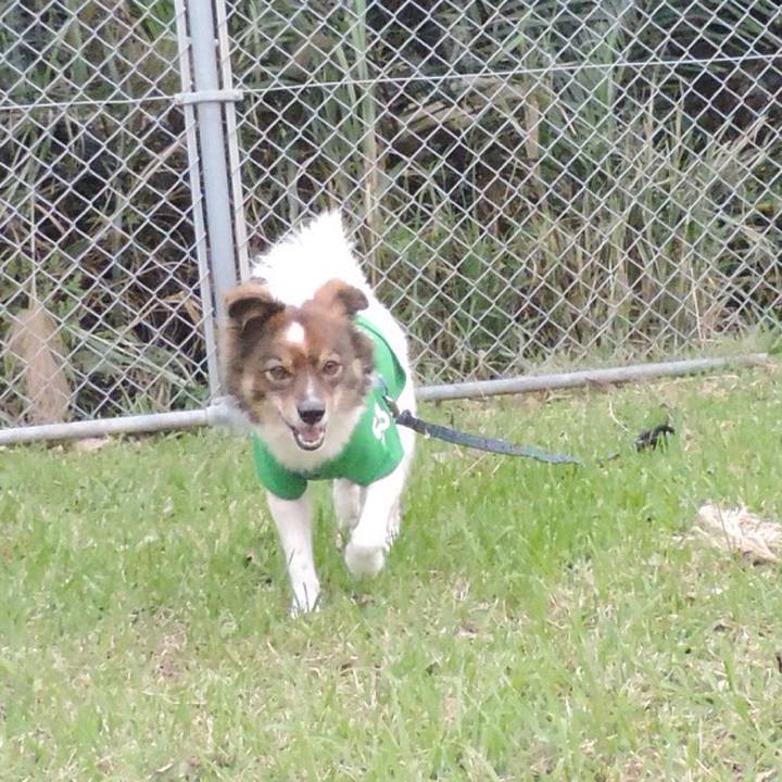 27861f2e 437f 454d b552 897a41ffdf47 1512995469114