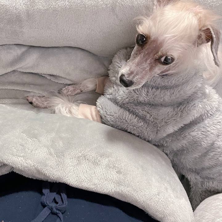 27862c26 f8af 4b7f 92d5 475143f5ed2d 1765366206804