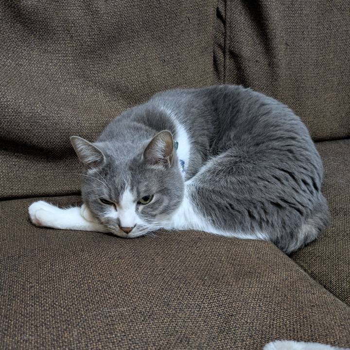 27865897 f0a8 4a10 b56d ae83ce392157 1772503269431